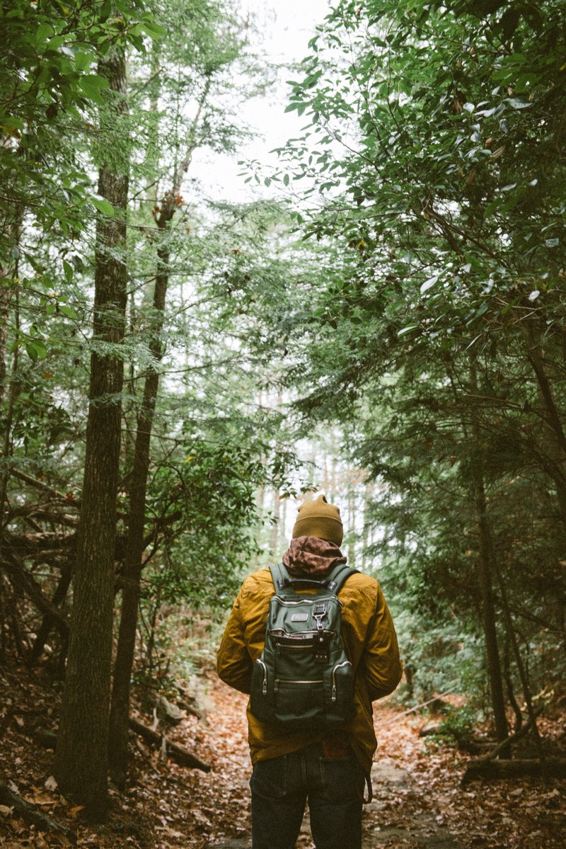 a person standing on a leaf covered walking trail in a forest at lula lake land trust, hiking lula lake land trust 4k