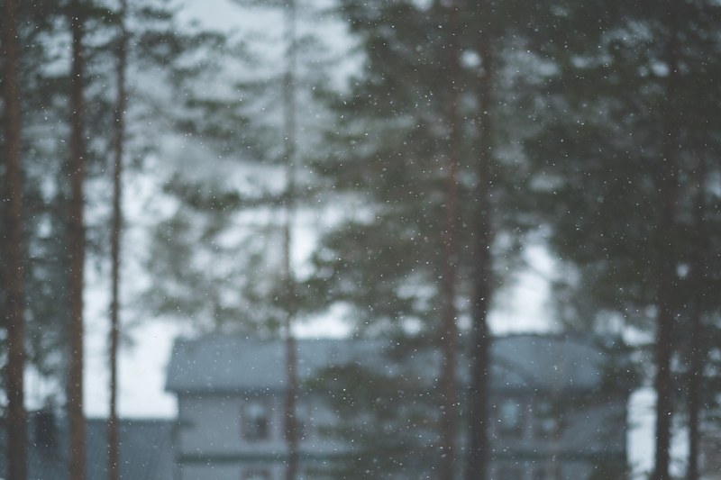 snowflakes falling in the foreground with tall trees and a house out of focus in the background, falling snow 4k