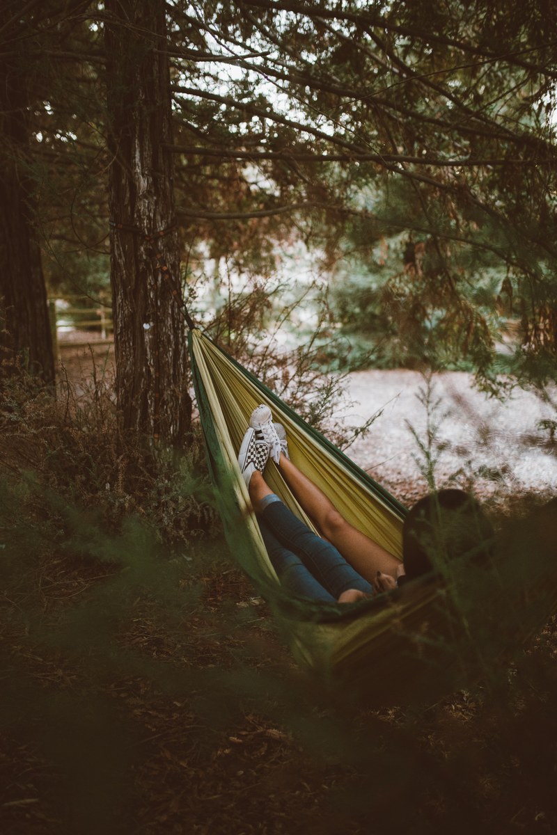 two people in a hammock hanging between trees, cozy hammock 4k