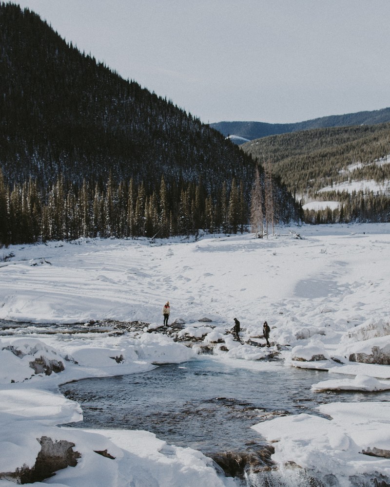 forest water snow and hike hd, 4k