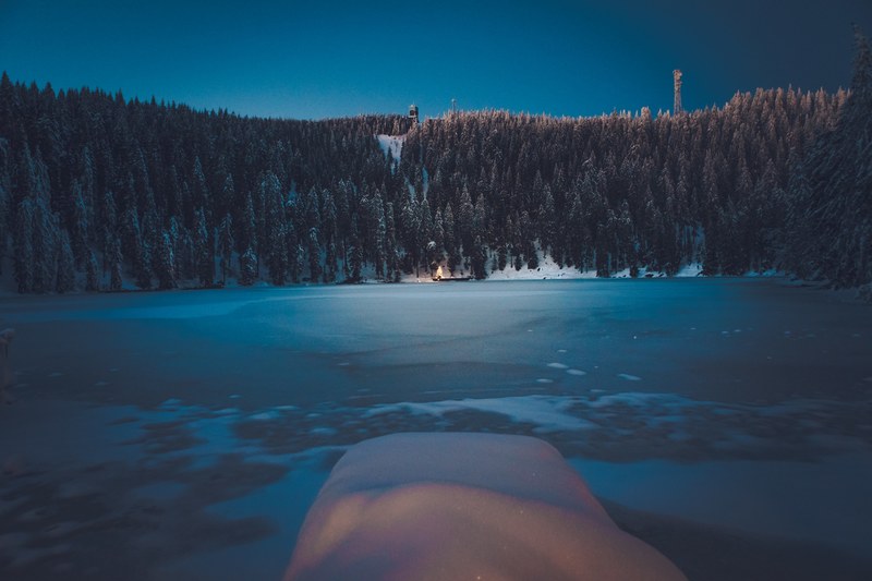 christmas tree around the lake 4k