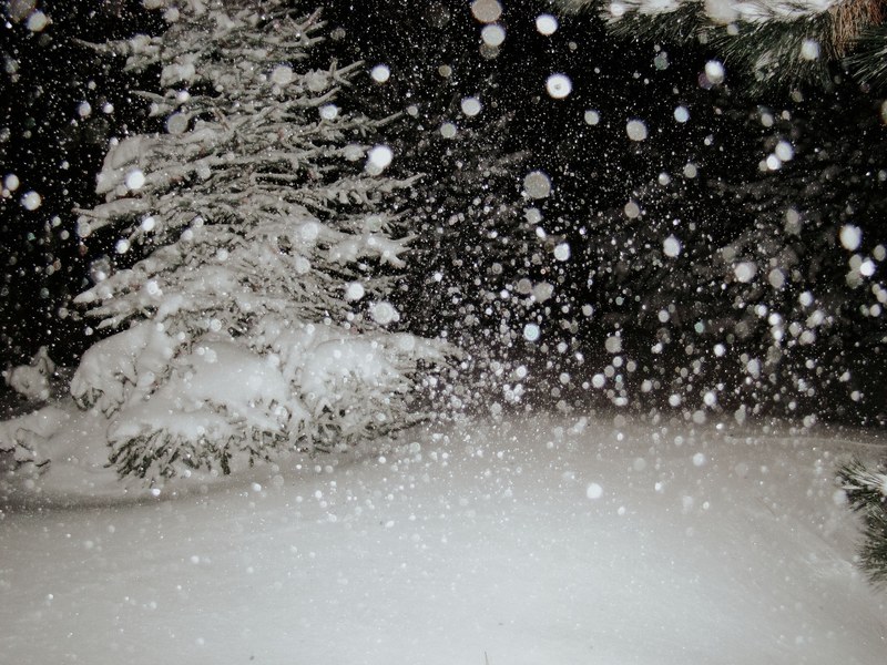 blizzard 4k
