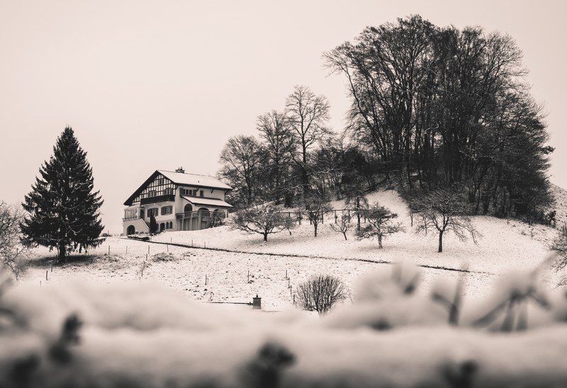winterland 4k