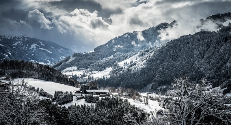 mountain snow tree and woodland 4k