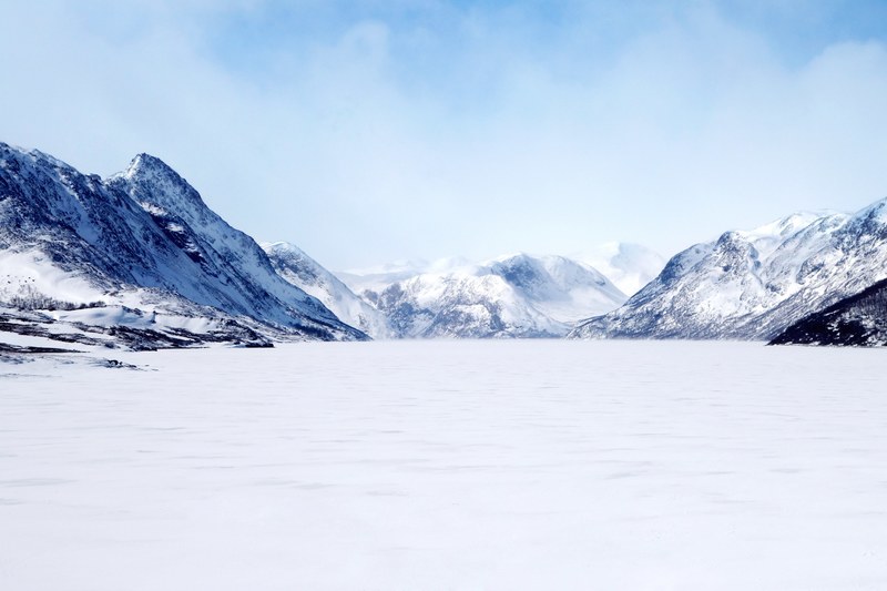 frozen ground 4k