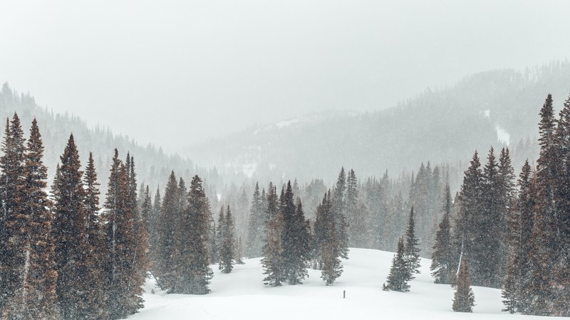 snowshoeing expedition 07 4k