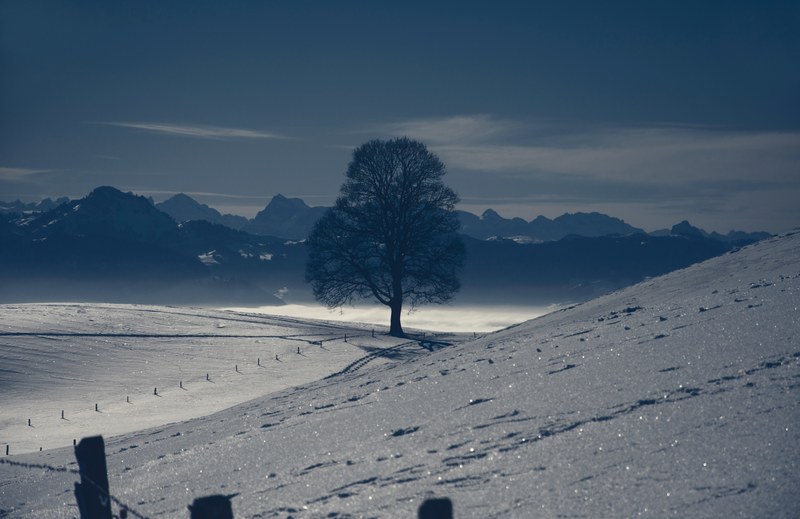 the snowscape taken from a small mountain, alone in a winters night 4k