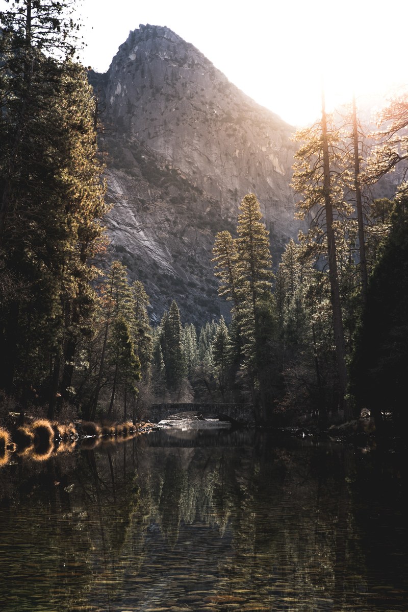 lost in thought 4k