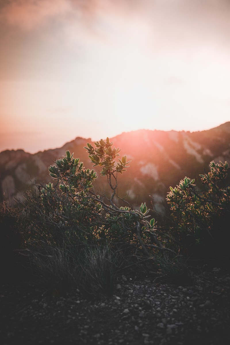look in the far distance_ 4k