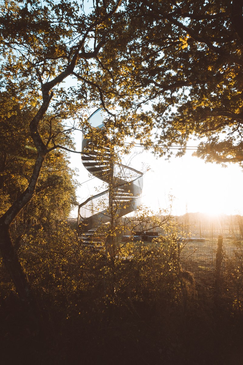 the stairs to the paradise 4k