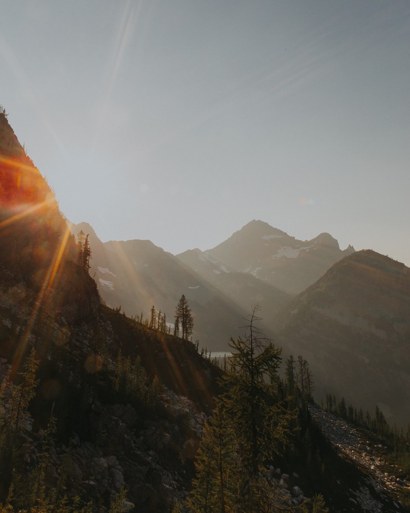 mountain mist fog and tree hd, 4k