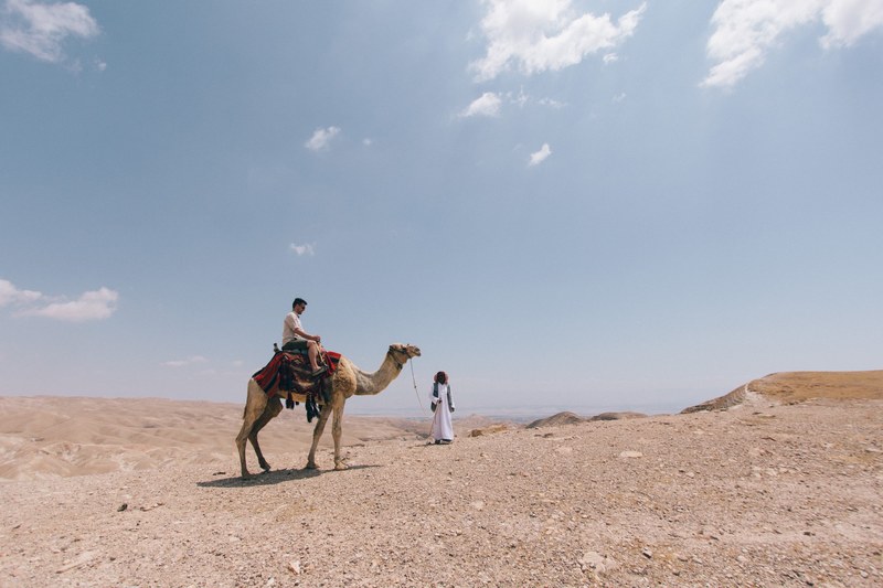 people ride a camel through the dry desert sand of kfar adumim, riding through the desert 4k