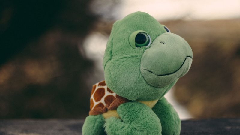 toy, turtle, plush, 4k