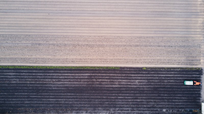 farming field farm and farmer 4k