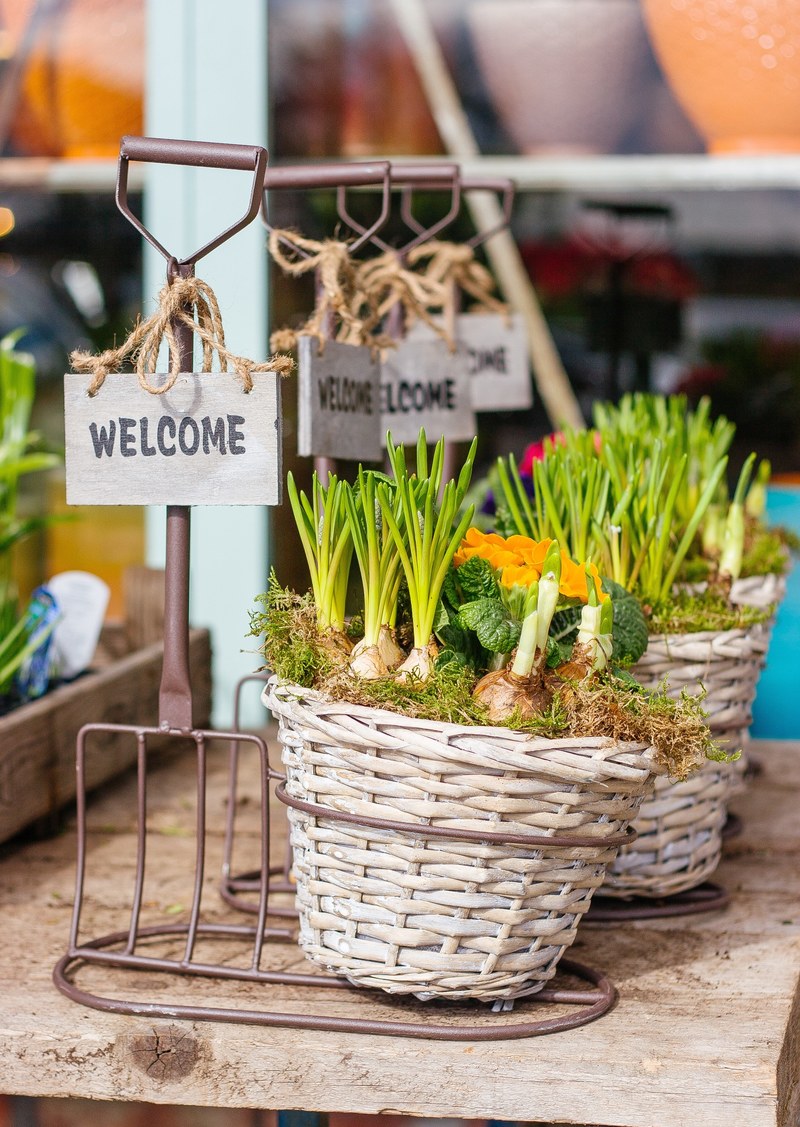 twine basket with welcome sign at garden market with plants in spring, flower bulbs in baskets 4k