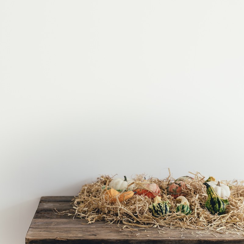 pumpkin table gourd and autumn 4k