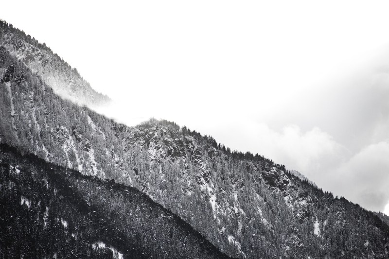 a black and white shot of wooded mountain slopes in ried brig, tree lined mountain side in black and white 4k
