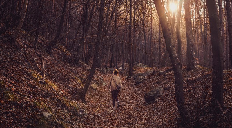 a woman walking through a forest in the afternoon, lone wanderer in the woods 4k