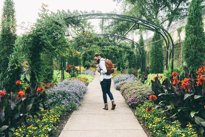 bearded man walking through cheekwood art amp gardens admiring the colorful flowers and the lush greenery, man walking through a garden 4k