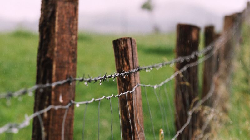 barbed wire, fence, drops, 4k