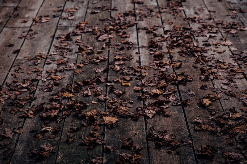 a wooden deck covered in curled up autumn leaves, rotting autumn leaves 4k