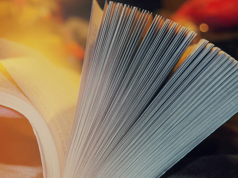 book page read and warmth 4k