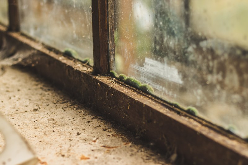 dusty windows in the ghost town of doel belgium 4k