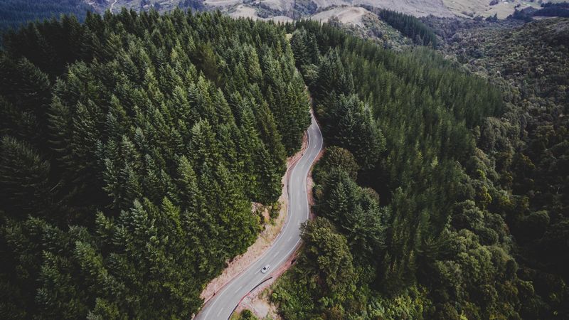 road, trees, movement, top view, 4k