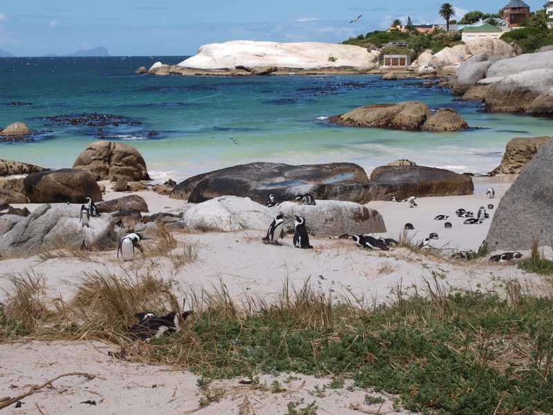 water beach south africa and cape town 4k