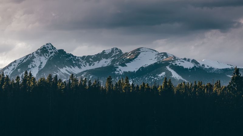mountains, trees, tops, snow, sky, 4k