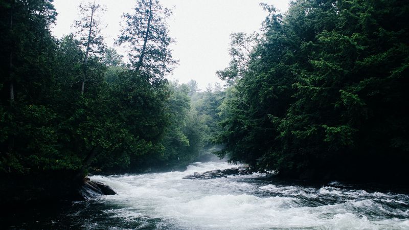 river, current, trees, 4k