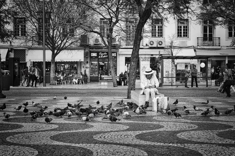 bird person building and pigeon 4k