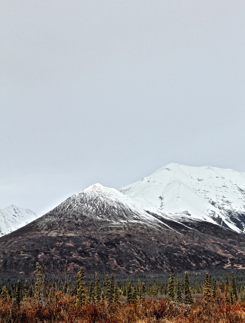a colorful field leads to a snowy mountain top, alaska highway 4k