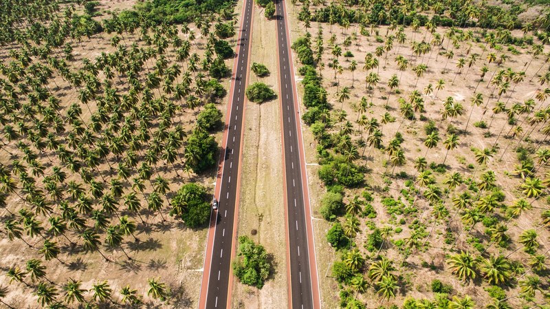 an aerial photo of two parallel lanes surrounded with palm trees, parallel roads among palms 4k