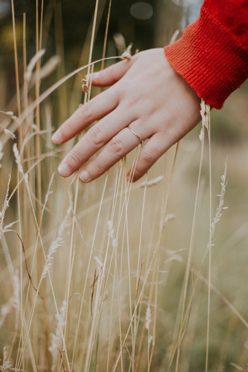 a person gently touching golden blades of grass, feeling 4k