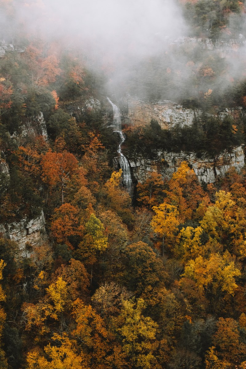 rock cliff mountain and tree hd, 4k