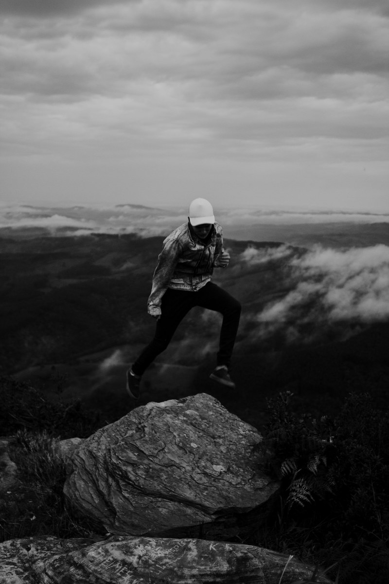 black and white rock stone and plant hd, 4k