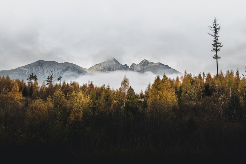 fall near high tatras 4k