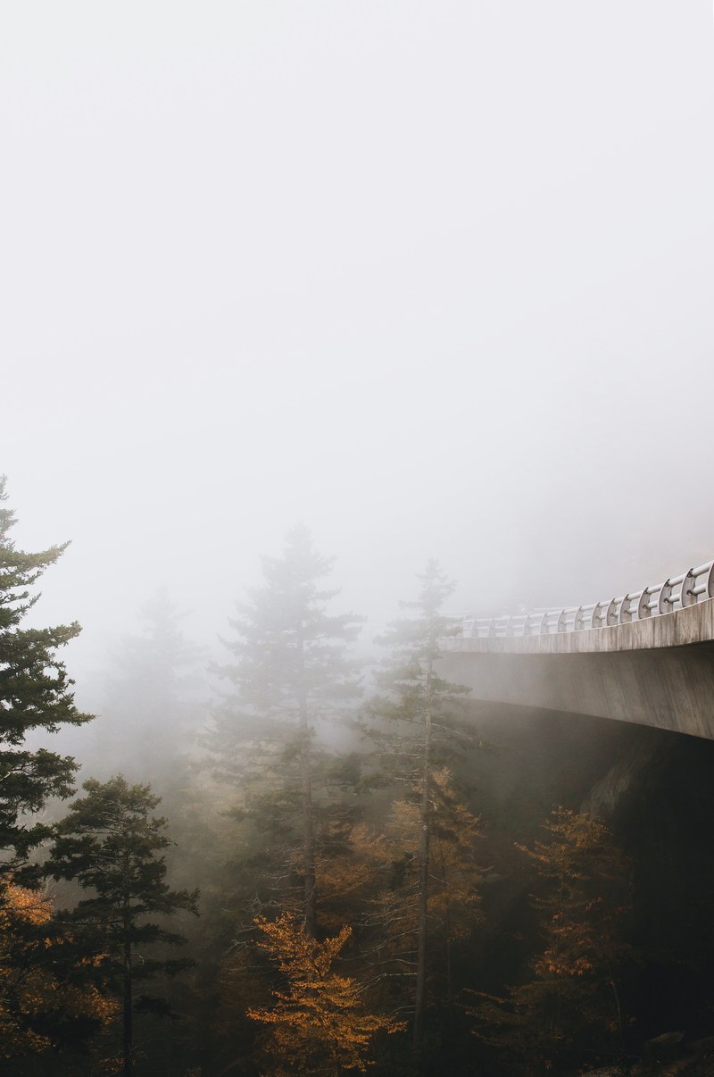 concrete bridge over foggy forest pines, fog at blue ridge parkway 4k