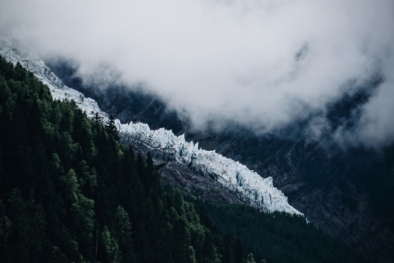 fog rolls over snowy forest mountains in france, lost in the wilderness 4k