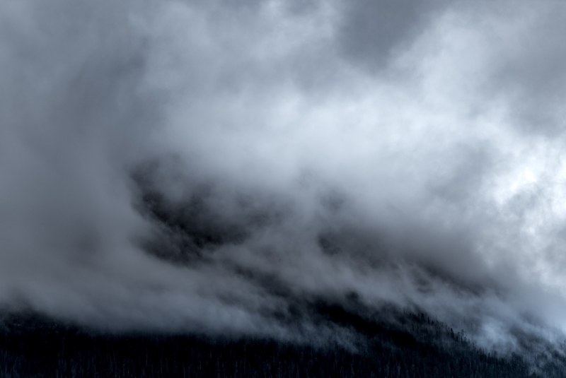 fog coming down on a wooded slope in silverthorne, mist descending on a slope 4k
