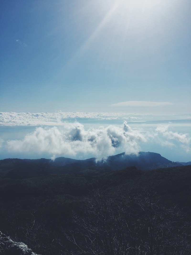 mountain cloud forest and tree hd, 4k