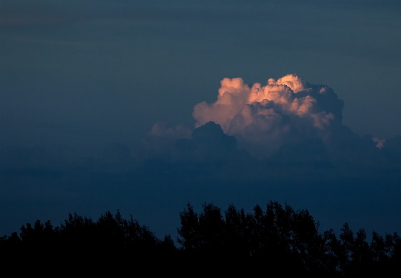 cloud sky silhouette and silhouette tree 4k