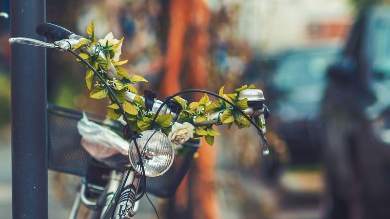 bicycle, flowers, headlight, 4k
