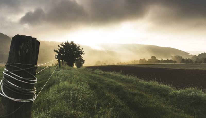 a fenced fiield with fog rolling down the hills in the background, _foggy landscape 4k
