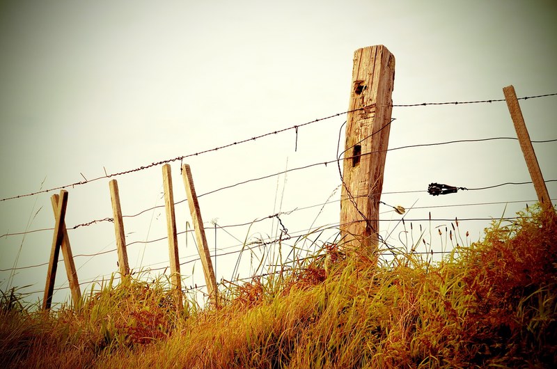 fence barbed wire post and grass 4k