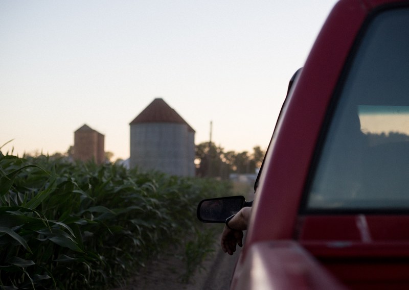 checking the crops 4k