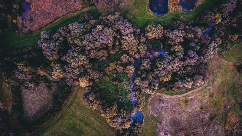 a drone shot of a picturesque area with a small stream and a copse of trees, view from above 4k