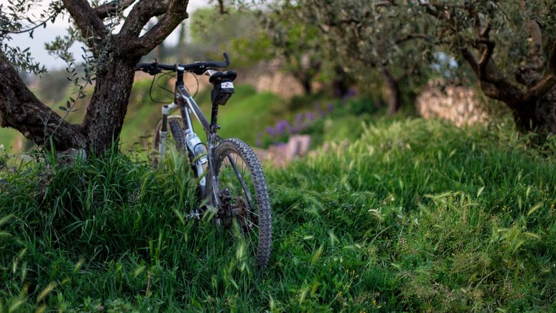 bicycle, grass, trees, 4k
