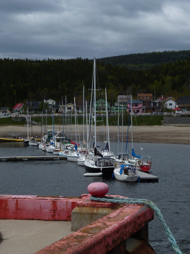 the three rivers dock 4k